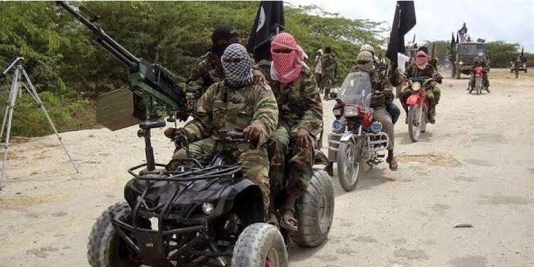 Boko Haram Fighters Launch Attack On Ngala Community In Borno State