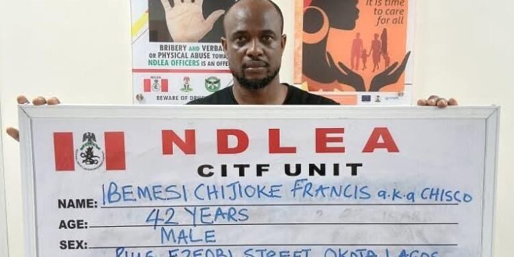 Alleged drug baron arrested as NDLEA recovers large drug shipment, forex in Lagos hideout