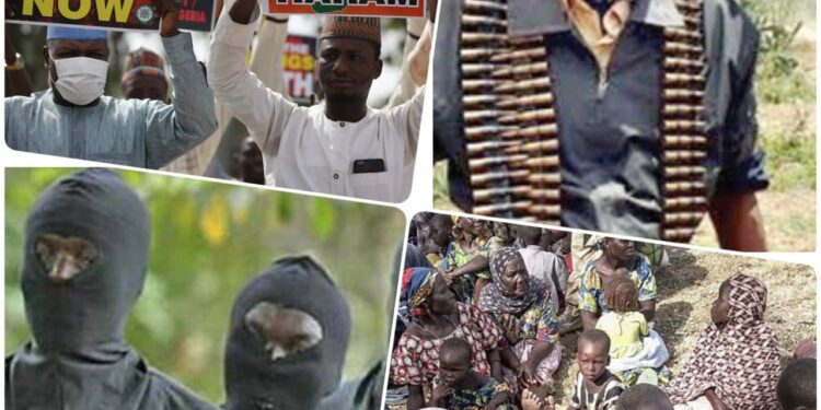 An Urgent Call for Total Mobilization Against the Banditry Crisis