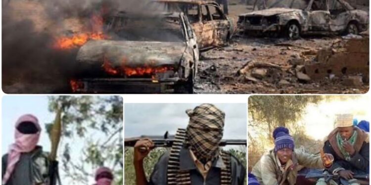 WHAT EXACTLY IS HAPPENING IN NIGERIA?