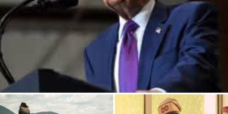 US Lawmakers Float Cattle Trade Restrictions on Nigeria as Pressure Mounts Over Insecurity Claims