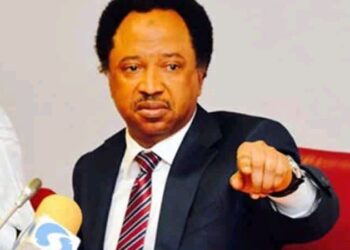 There’s No Sensible Man That Will Support An Unnecessary War Whose Main Casualties Are Civilians – Shehu Sani