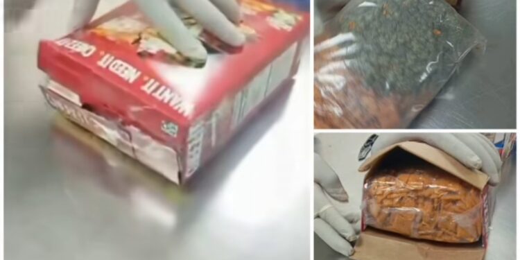 Verify contents before receiving packages from abroad- NDLEA warns Nigerians